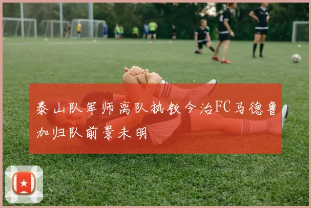泰山队军师离队执教今治FC马德鲁加归队前景未明